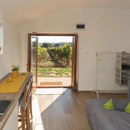 Birtok Tulipános Apartamento Tagyon