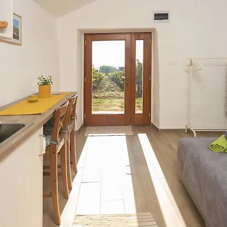 Birtok Tulipanos * Tagyon