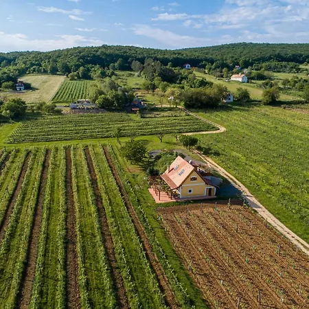 Birtok Tulipános * Tagyon