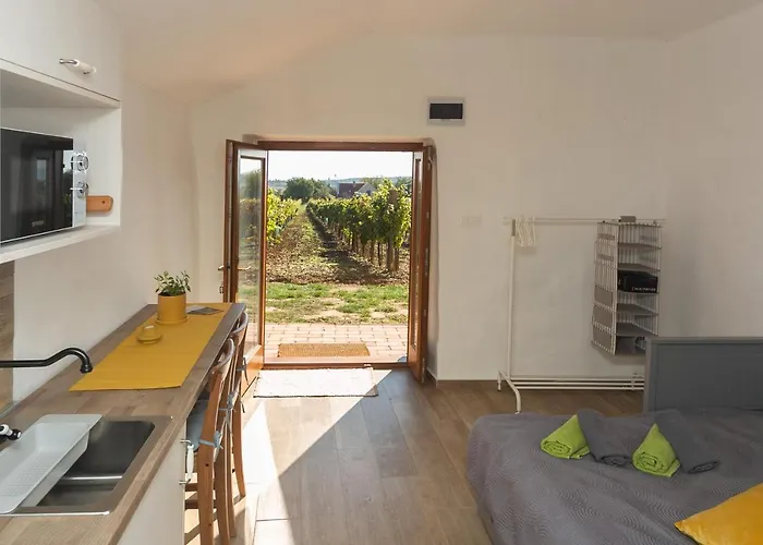 Birtok Tulipanos דירה Tagyon