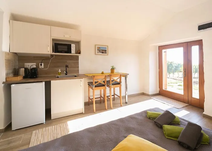 Birtok Tulipanos Tagyon