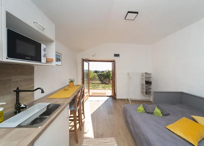 Birtok Tulipános Tagyon