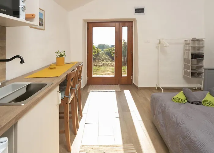 Birtok Tulipanos * Tagyon