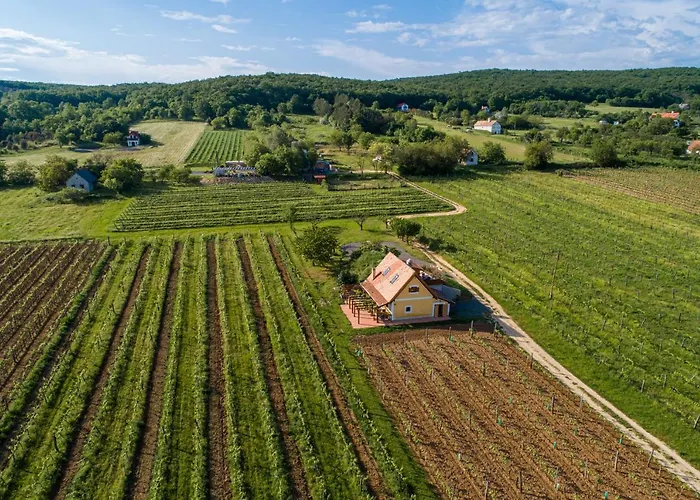 Birtok Tulipános * Tagyon